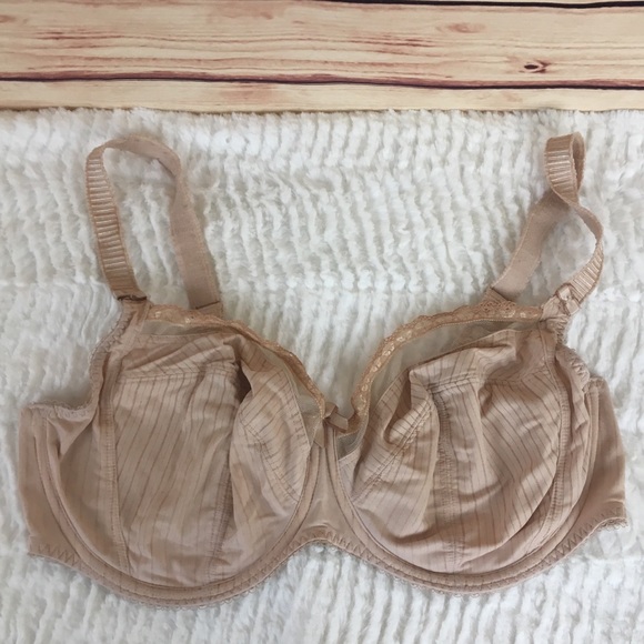 Fantasie Other - Fantasy Pinstriped Bra Tan Underwire Mesh Lace 38F